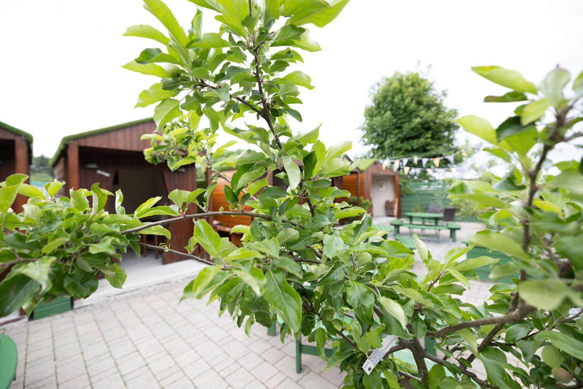 The Orchard House Hotel Kilkenny Buitenkant foto